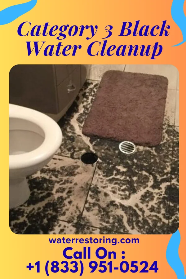 Category 3 Black Water Cleanup in Avon, PA