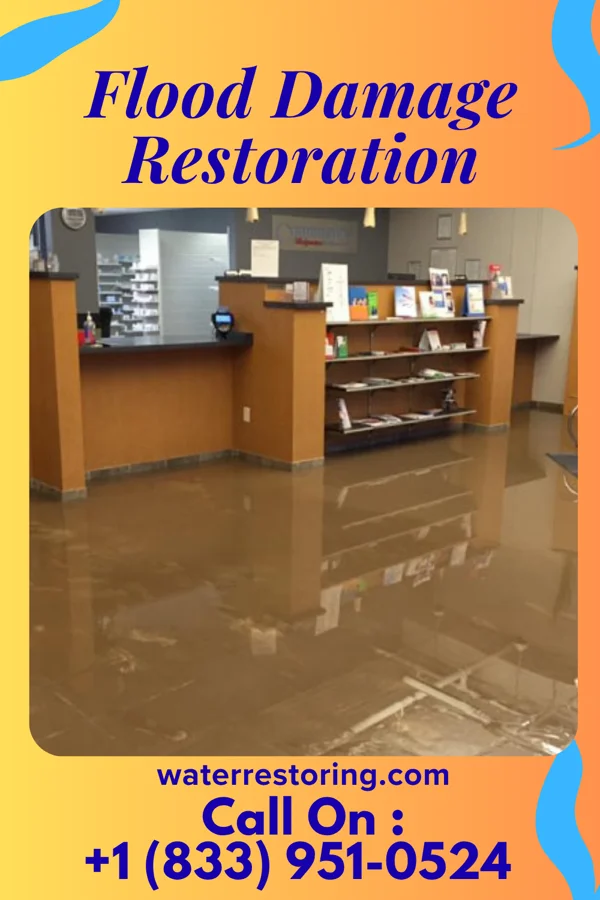 Flood Damage Restoration in Avon, PA