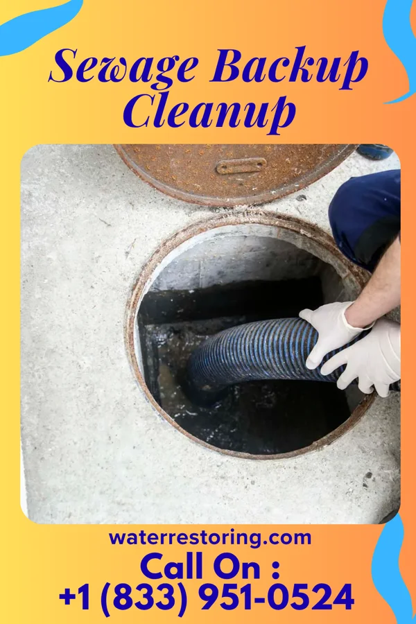 Sewage Backup Cleanup in Avon, PA