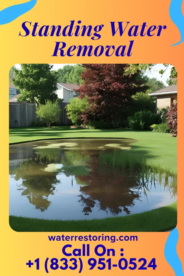 Standing Water Removal in Avon, PA